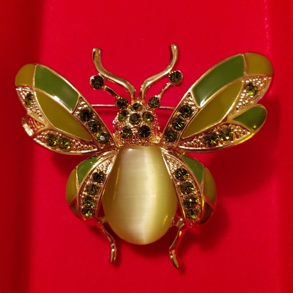 unbranded Jewelry - Beetle Enamel Wings Jelly Belly Brooch